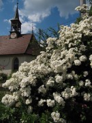 rosen-johanneskapelle140722