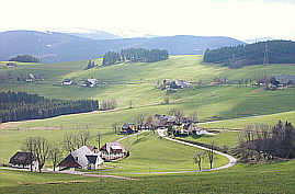 Bauernhöfe in Breitnau-Hinterdorf im Schwarzwald (oben der Feldberg)