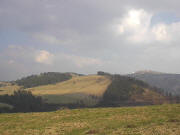 Blick zum Feldberg kurz vor der Erlenbacher Hütte