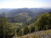 Blick vom Hohkelch (1264 m) nach Süden zu Belchenhöfe und ins Wiesental mit Neuenweg