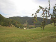 Blick nach Osten über Reckenberg zum Berghhäusle Ende August 2003