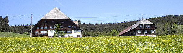Zipfelhannisenhof im Spriegelsbach, Mai 2003 - blühender Löwenzahn