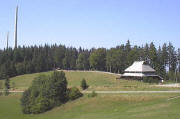 Holzschlägermatte unterhalb Schauinsland am 11.8.2003