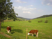 Blick ins Uracher Tal vom Merzenhof im August 2003