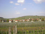 Blick nach Norden auf Bischoffingen am 15.4.2004