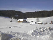 Blick nach Nordwesten zum Fallerhof am 1.2.2004