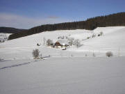 Blick nach Norden zum Schwabenhof am 1.2.2004