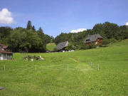 Blick nach Westen vom Pfisterhof zur Pfisterhhe am 14.8.2004 im Dietenbac