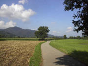 Blick von Zarten über den Dreisamtal-Radweg nach Westen zum Kybfelsen links im August 2004