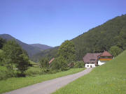 Blick nach Süden zum Nonnenbachhof im August 2004