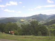 Blick von der Immi-Höhe nach Osten zum Weilersbach (links) und Zastler (rechts) - in der Mitte der Hinterwaldkopf - am 14.7.2004