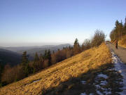 Blick vom Spazierweg zwischen Haus der Natur und Todtnauer Hütte nach Westen bis zum Belchenam 10.12.2004