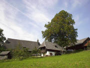 Blick nach Norden zu Schnbachhof und Mhle mit der alten Linde