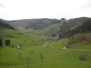 Blick vom Sträßchen Gscheid-Siegelau nach Nordosten auf Siegelau