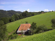 Blick nach Osten zum Berghusle am 5.8.2005 - oben der Steighof