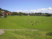 Blick von der Hinterdorfstrasse beim Hohwarthof  nach Osten auf Breitnau am 9.8.2005