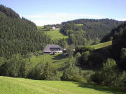Blick nach Norden über den Fallerhof hoch zum Fallerhäusle am 10.8.2005