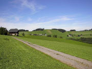 Blick nach Norden aufs Hohhusle am 9.8.2005 - rechts Schanzenhusle