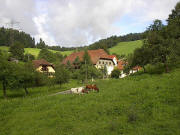 Blick nach Westen zum Martinshof im Steurental am 8.8.2005