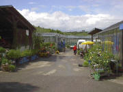Gärtnerei Hiß in Eichstetten Ende Mai 2005