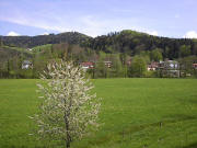 Blick nach Norden zum Gummenwald, Maierhäuslehof (links) und Huseman-Klinik (rechts) am 30.4.2005