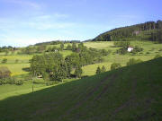 Blick nach Südosten zum Hiesle ob Vörlinsbach Ende Mai 2005 