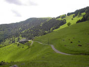 Blick nach Osten hoch zum Roteck 1156 m rechts oben und zur Höfener Hütte links am 25.5.2005