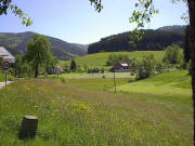 Blick nach Osten ins Reichenbach zum Klaumershof und Kussenhof (links) im Mai 2005