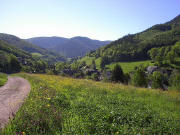 Blick vom Kirchberg in Oberprechtal nach Süden in Richtung Wittenbach im Mai 2005 frühmorgens