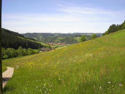 Blick vom Stasihäusle im Reichenbach nach Nordwesten auf Elzach im Mai 2005
