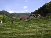 Blick nach Sden zum Scharbachhof im Mai 2005