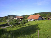 lick nach Norden zum Steiertenhof im Vörlinsbach im Mai 2005