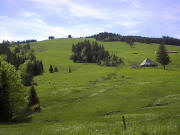 Blick nach Sdosten zum Skihang hoch zu Tote Mann Ende Mai 2005