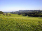 Blick vom Thurner nach Westen zu St.Mrgen und Kandel im Mai 2005