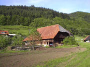 Blick zum Winterhalterhof im Zastler Ende Mai 2005