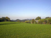 Blick nach Westen über den Christenhermannshof ins neblige Rheintal am 17.10.2005