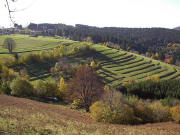 Blick nach Süden von "Auf dem Sättle" zu Ehrsberg am 30.10.2005