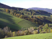 Blick über den Oberhof nach Süden im Weilersbach am 27.10.2005