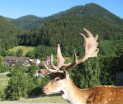 Blick nach Norden zum Gasthof Engel am 18.8.2006