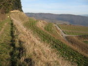 Blick über den Höhenweg nach Osten kurz vor der Baßgeigenhütte am 29.12.2006