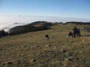 Blick nach Nordosten ber den Giehbel zu den Vogesen am 25.12.2006