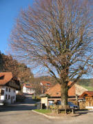 Blick nach Norden über den Wambacher Dorfplatz am 1.12.2006