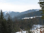 Blick nach Südwesten vom Fürsatz (1112 m) zum Feldberg am 28.1.2006