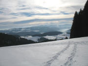 Blick nach Sden ber den Kapfenmathishof (Dach) und Fallerhof zum Feldberggebiet am 29.1.2006