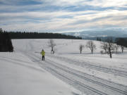 Blick nach Sdosten ber die Ibenbachquelle zum Birkwegeck am 29.1.2006