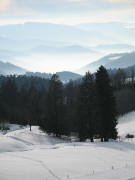 Tele-Blick nach Sden bei der Ibenbachquelle am 29.1.2006