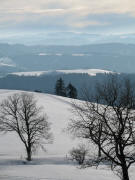 Blick nach Sden bei der Ibenbachquelle am 29.1.2006