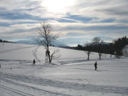 Blick nach Sden ber den jungen Ibentalbach in der Aumatte am 29.1.2006