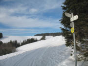 Blick vom Birkwegeck (950 m) nach Norden ber die Aumatte zur Ibenbachquelle am 29.1.2006