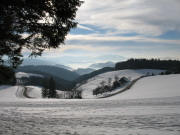 Blick nach Sdwesten ber den Glastrgerhof und Strasse St.Peter-St.Mrgen am 29.1.2006